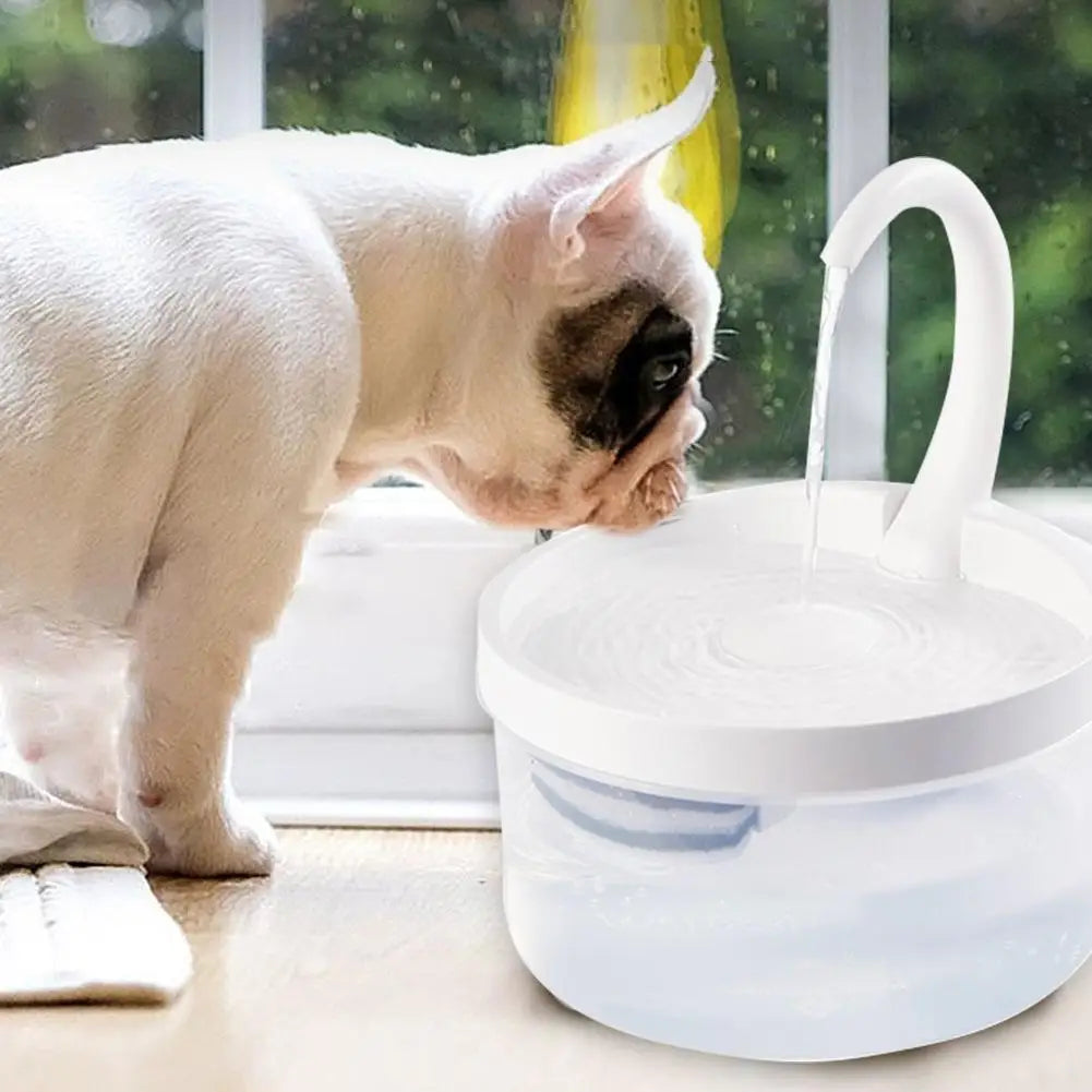 Pet Water Fountain Automatic Power-off