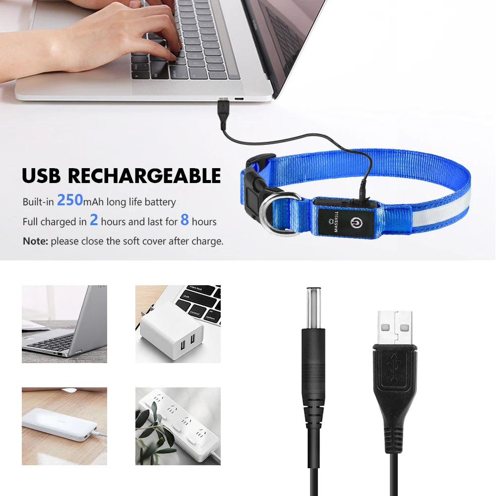 Light Dog Collar USB Charging Rechargeable Waterproof