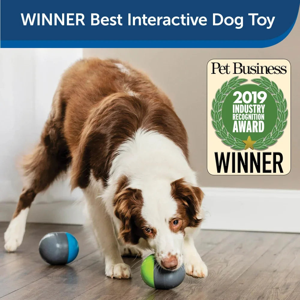 Battery-Operated Dog Toys