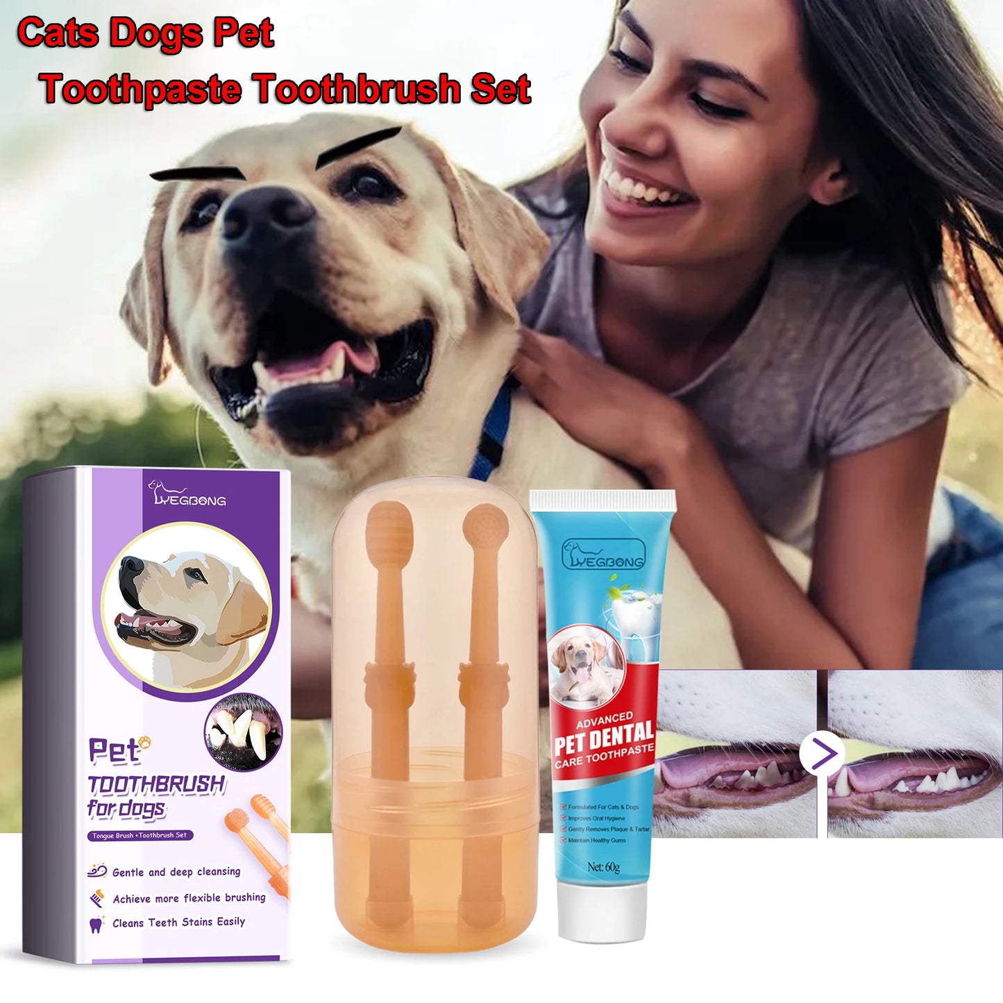 Cats Dogs Pet Toothpaste toothbrush Set