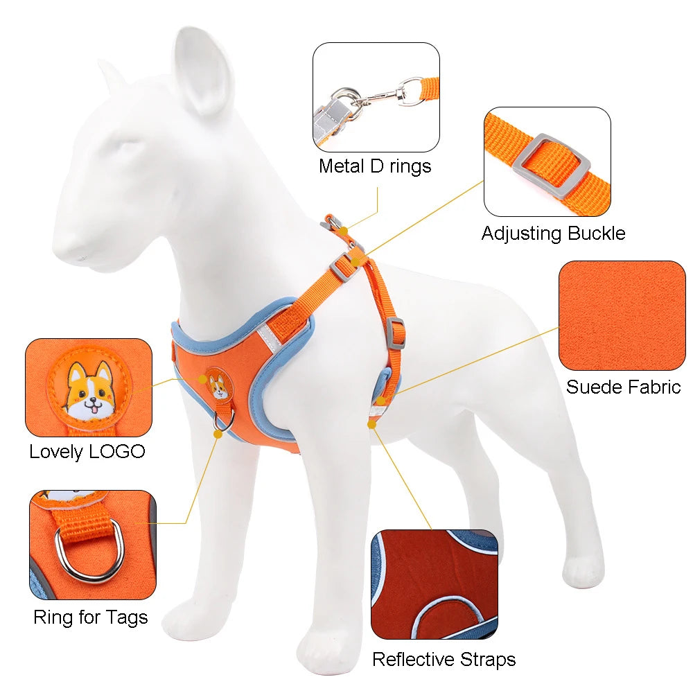 New Stylish, High-Quality, and Adjustable Small Dogs Harness