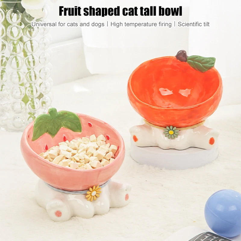 Cat Fruit Ceramic Elevated Pet Food Water Bowls