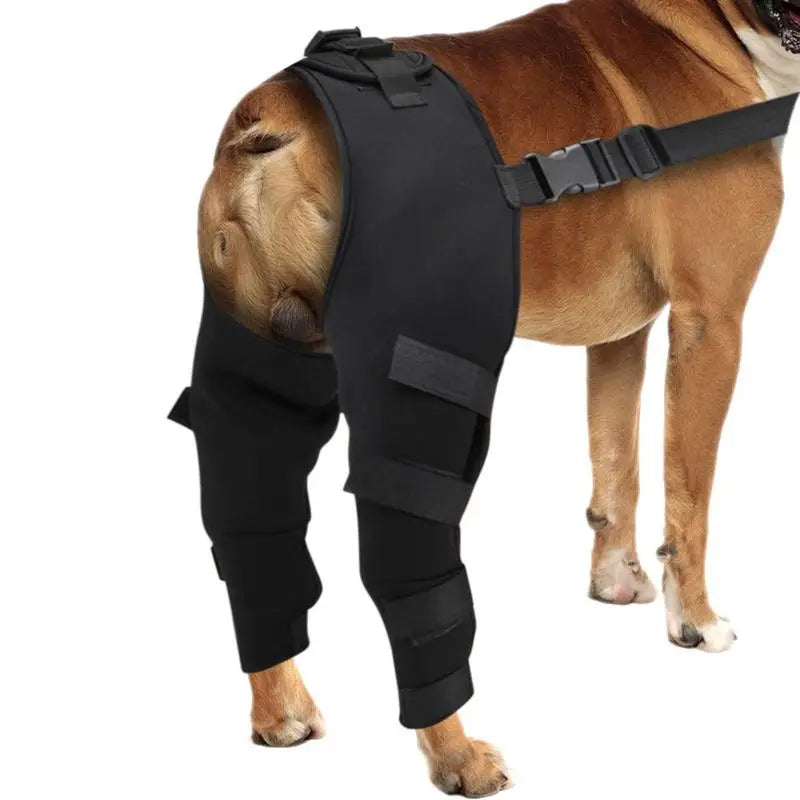 Dog Hip Brace Adjustable Pet Dog Legs Protector