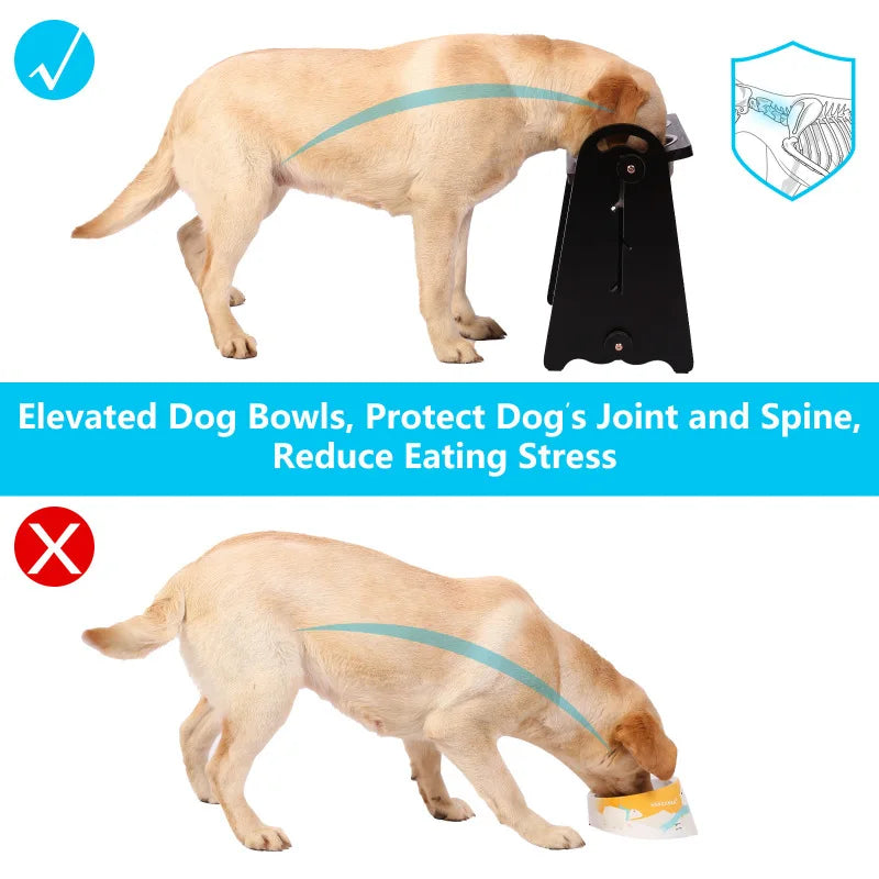 Elevated Dog Bowls for Medium Large Sized Dogs