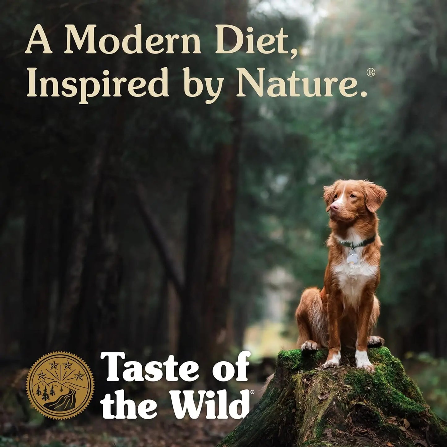 Grain-Free Dry Dog Food