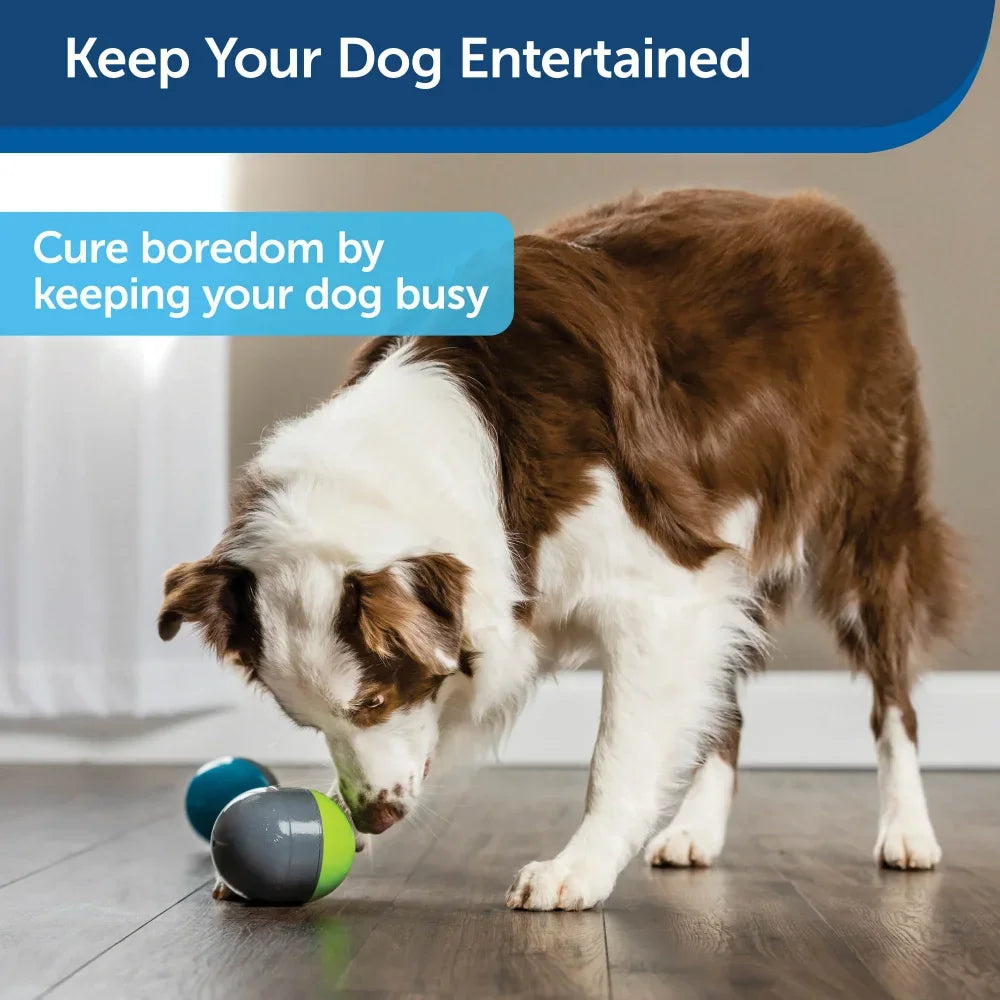 Battery-Operated Dog Toys