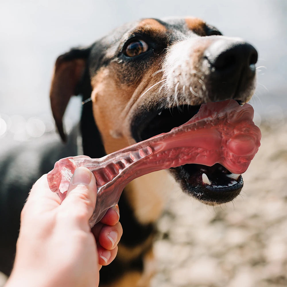 Bone-Shaped Indestructible Dog Chewers for Large Dogs