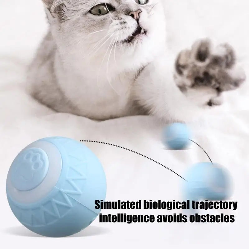 Smart Cat Toys Indoor Cat Interactive Ball