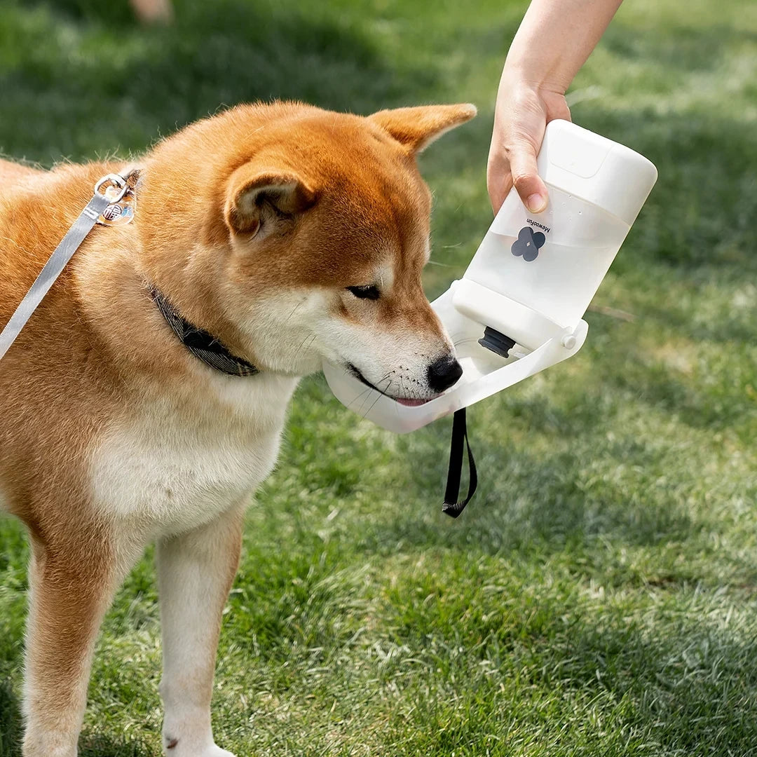 Dog Water Bottle Convenient and Safe