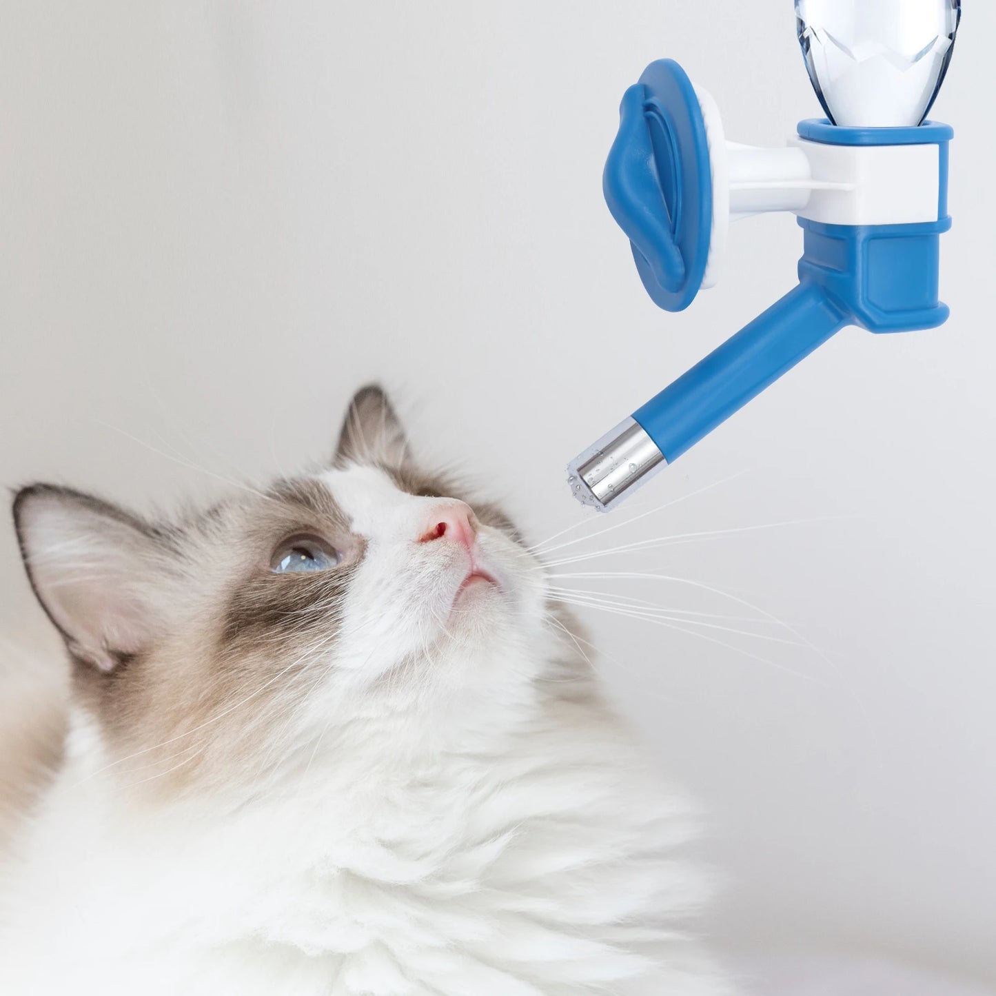 Pet Cat Puppy Dog Drinking Kit Hanging Water Dispenser