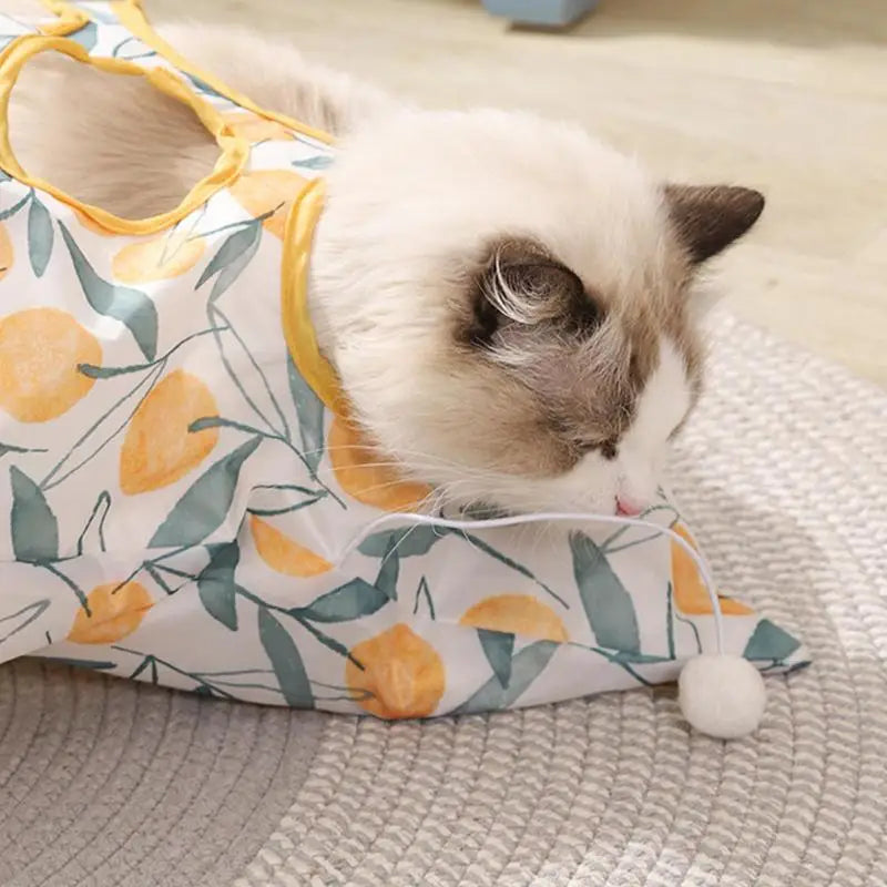 Cat Waterproof Play Tunnel Crinkle Bag