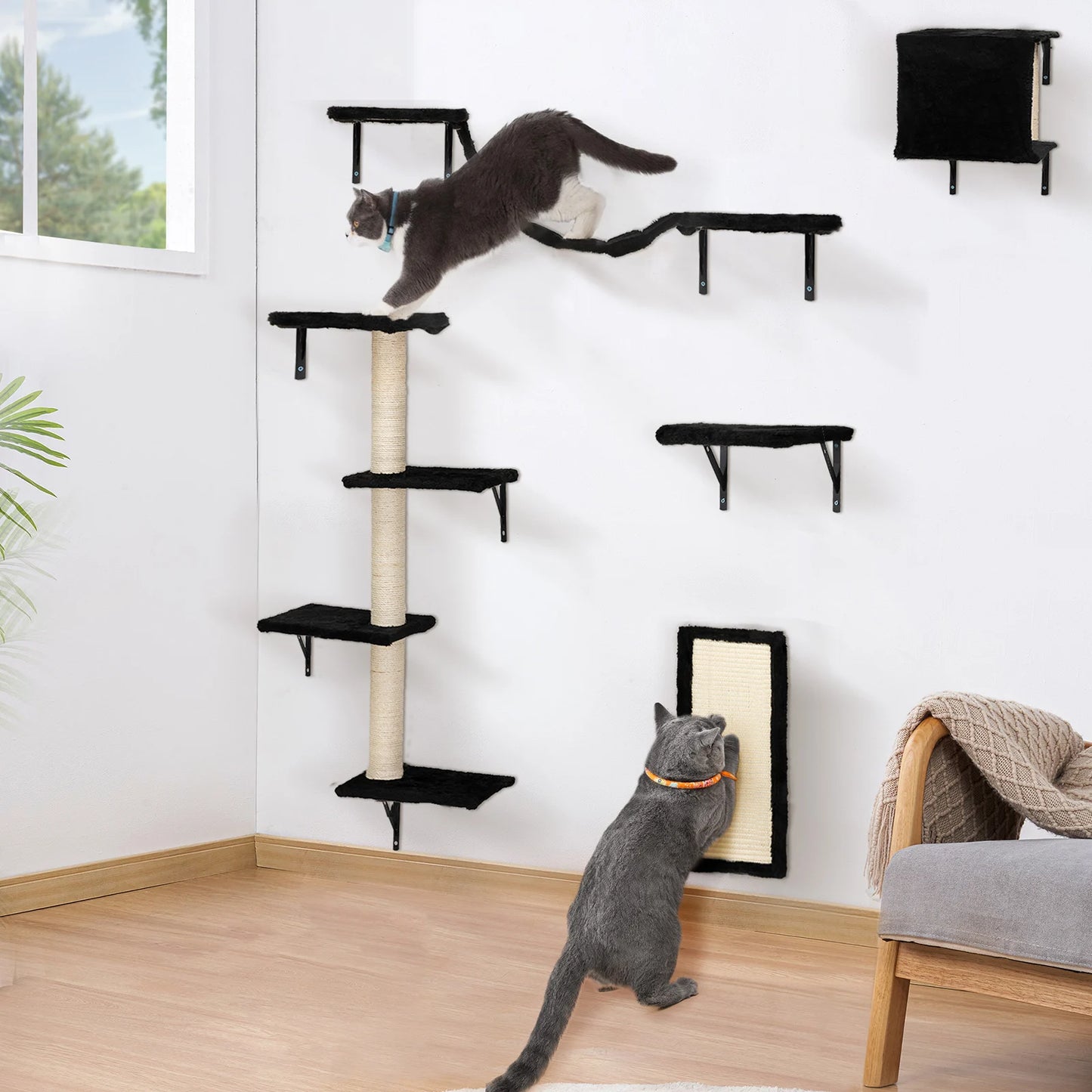 Cat Wall Shelves, Wall-Mounted Cat Climber