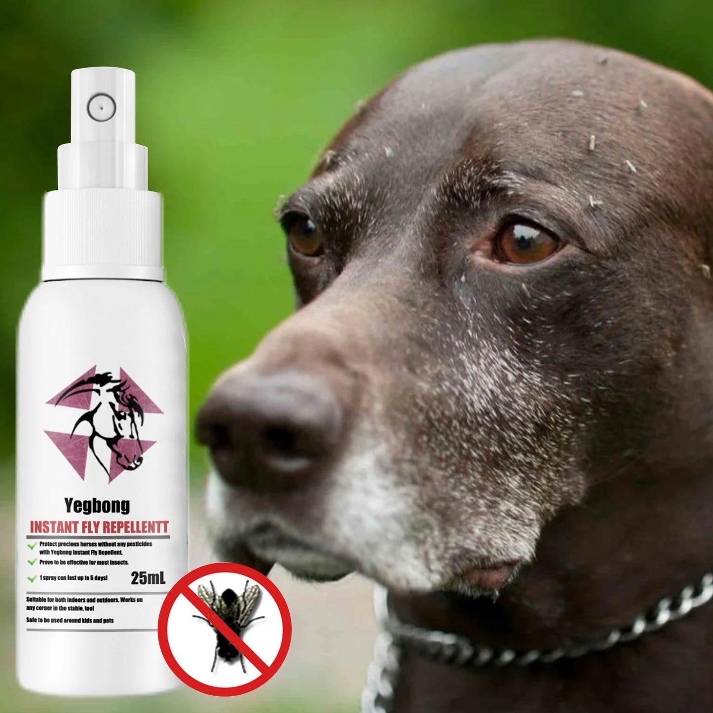 Flea Tick And Mosquitoes Spray For Dogs Cats