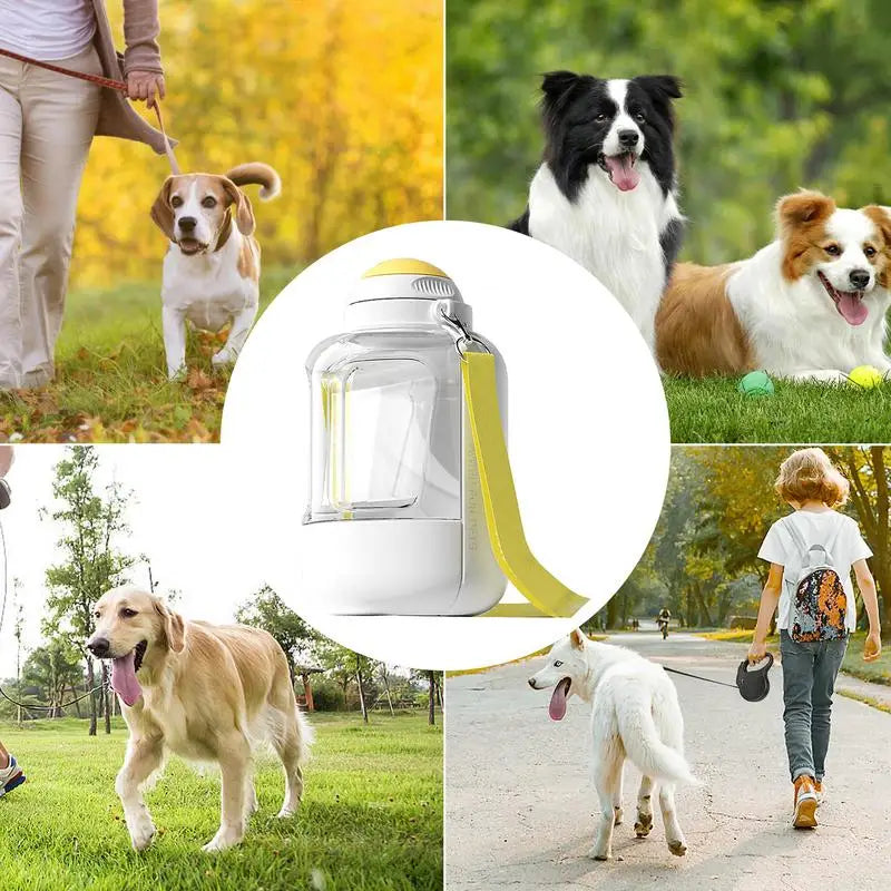 Portable Water Bottle For Dogs For Travel