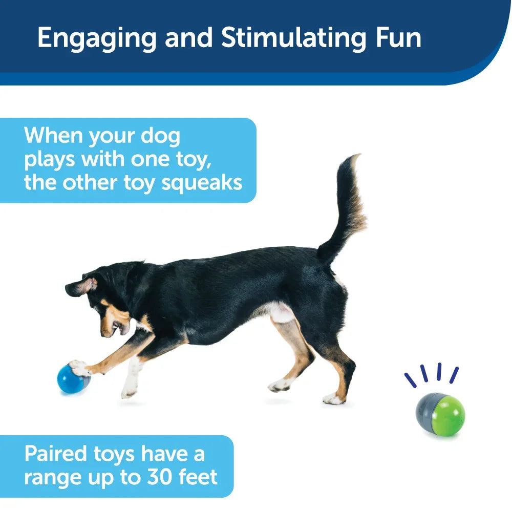 Battery-Operated Dog Toys