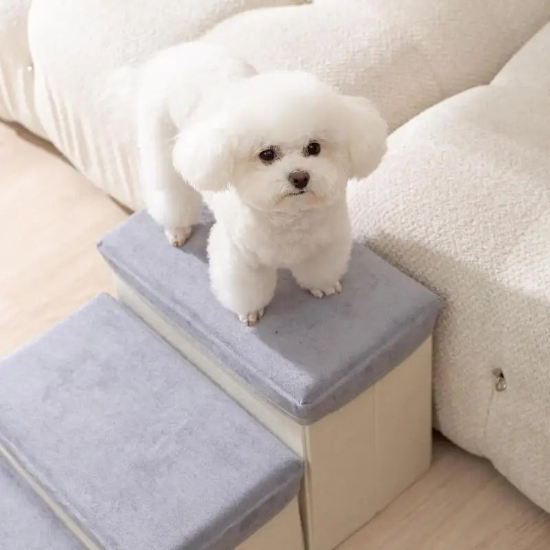 Foldable Durable Puppy Ramp Climbing Ladder