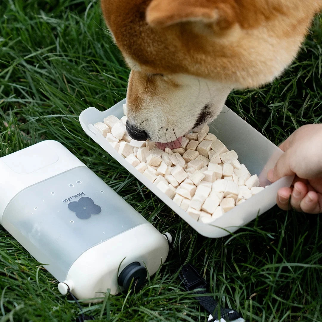 Dog Water Bottle Convenient and Safe