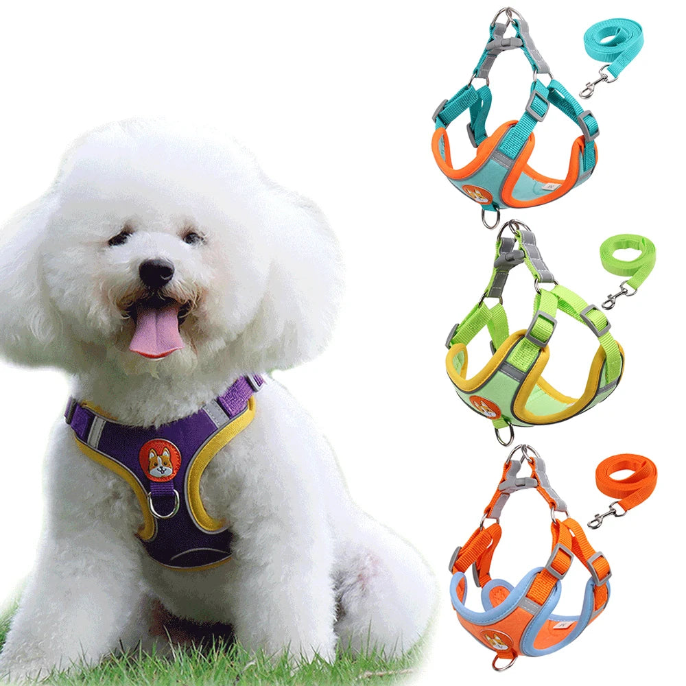 New Stylish, High-Quality, and Adjustable Small Dogs Harness